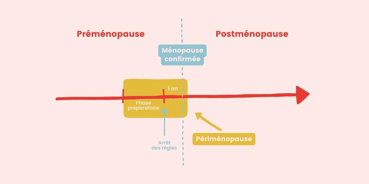 Le schéma présente les différentes phases de la ménopause.
